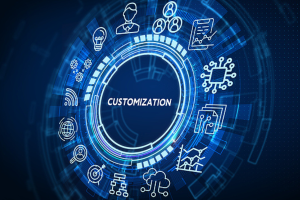 Business, Technology, Internet and network concept.  virtual screen of the future and sees the inscription: Customization to illustrate Acumatica Customization